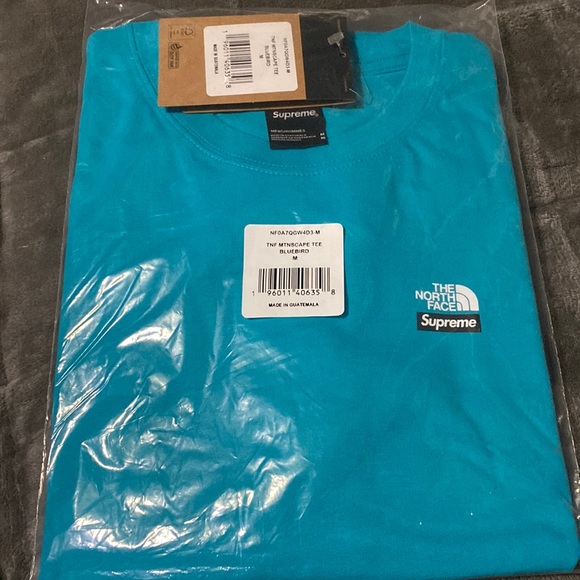 This is the Fall/Winter 2021 Supreme x North Face